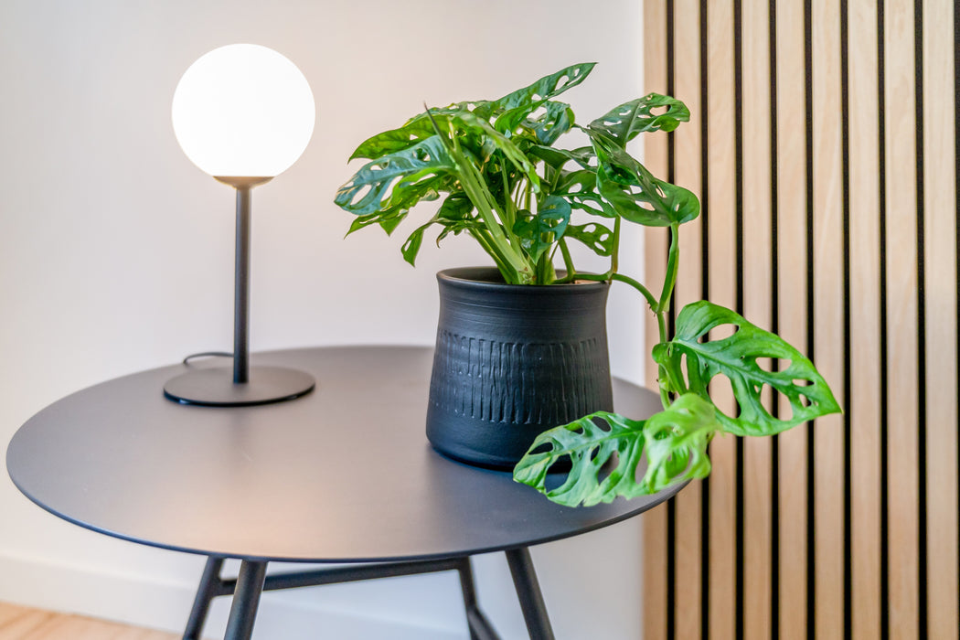 Lampe de table en métal avec globe en verre Pinne noire - Aldex