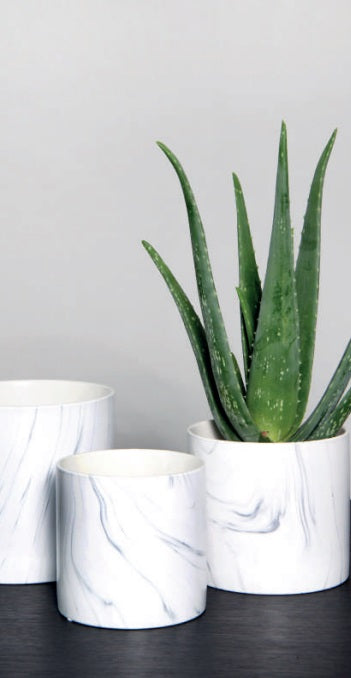 Cache pot rond Chelone assortiment 
