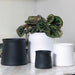 Cache pots collection Elba série de cache pots design et chic