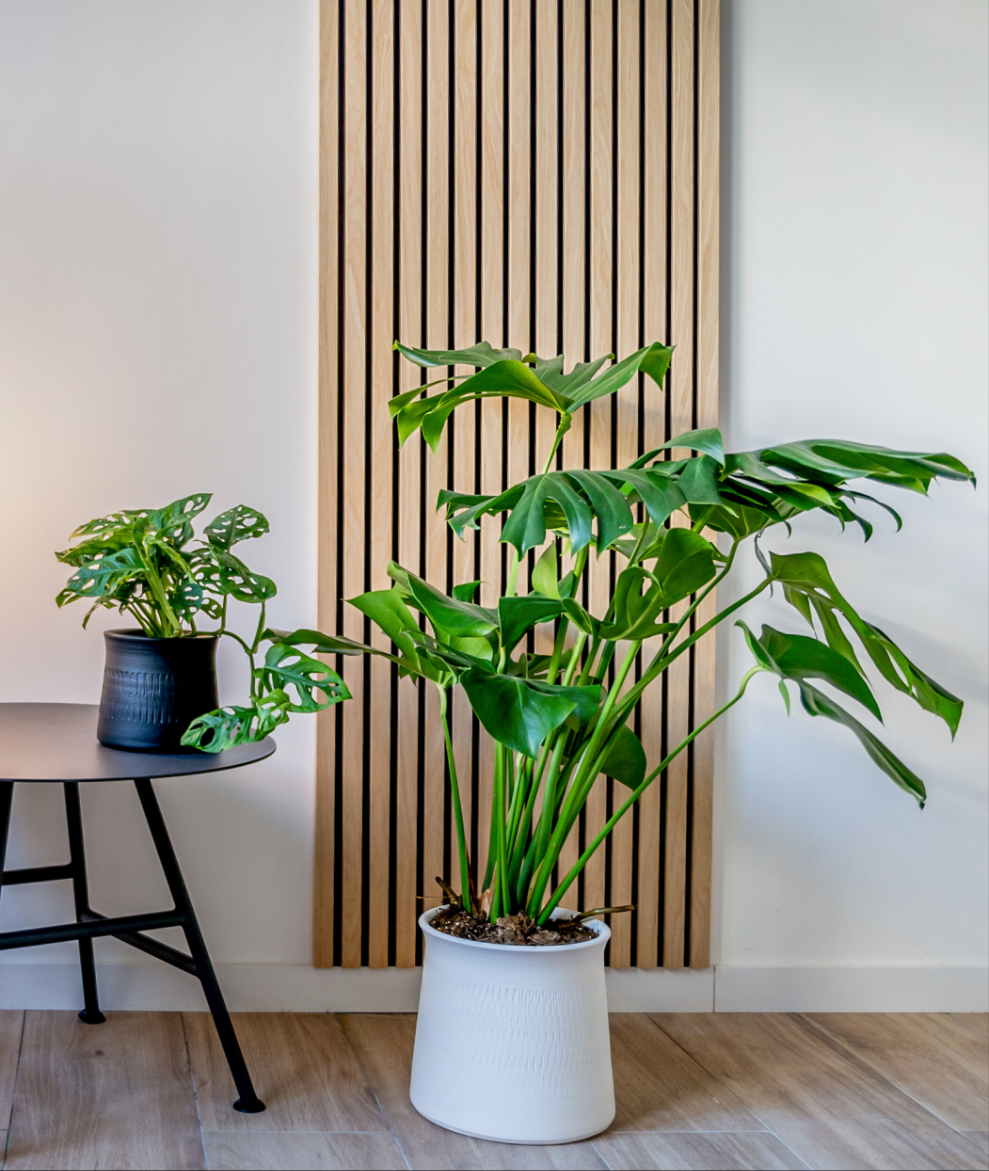 Décoration intérieure